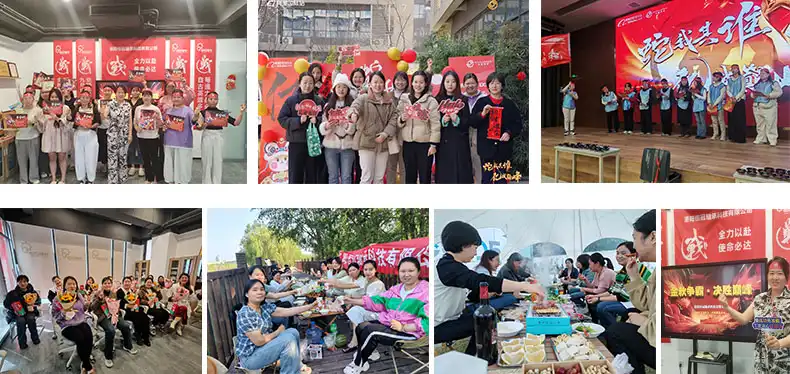 Slewing Ring Bearing Slewing Ring Bearing