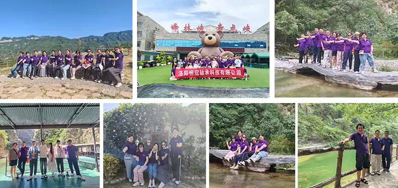 Cross roller bearing Cross roller bearing