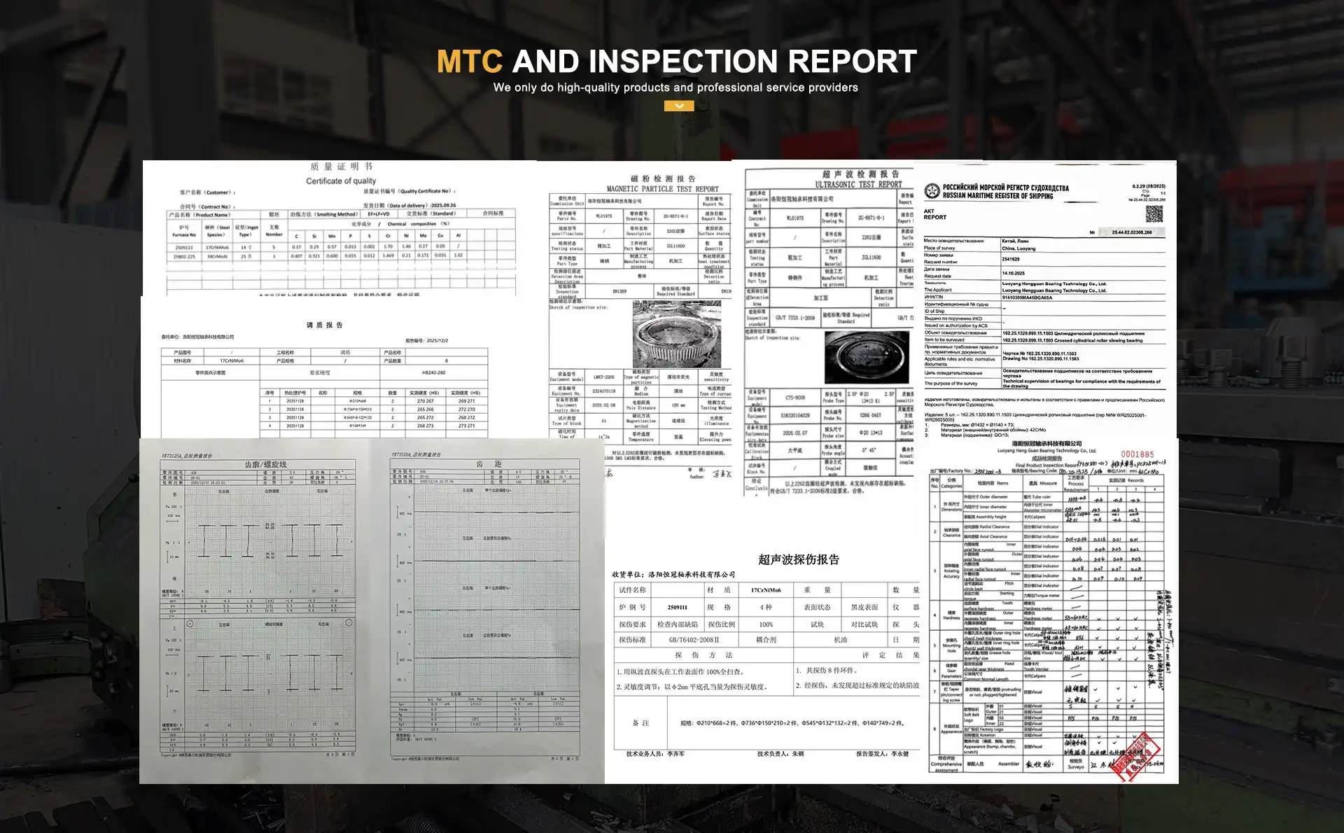 Internal Gear Rotary Slewing Bearing Internal Gear Rotary Slewing Bearing