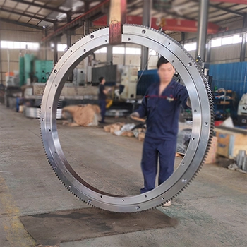 Bridge Scraper Slewing Bearing