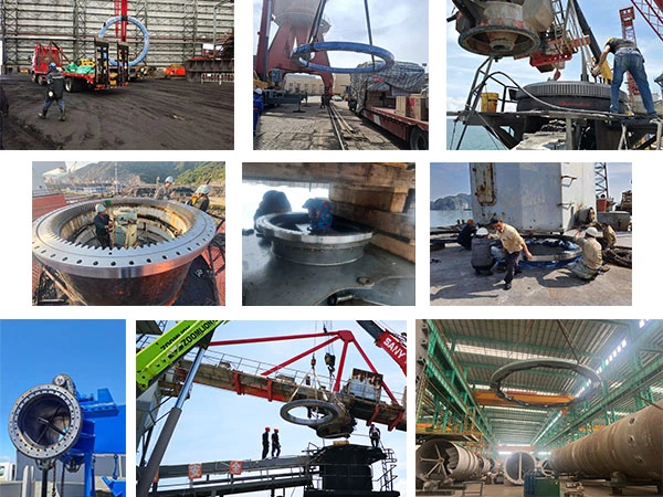 concrete placer slewing bearing concrete placer slewing bearing